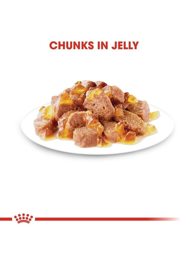 Royal Canin Feline Care Nutrition Hair & Skin Jelly (Wet Food - Pouches) 12 x 85 g - Image 4